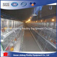 Best Sale Automatic Broiler Cage for Poultry Cage (A Type)